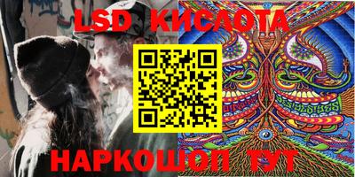 СК Волгодонск