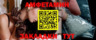 стаф Гатчина