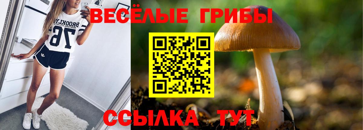 Галлюциногенные грибы GOLDEN TEACHER Череповец